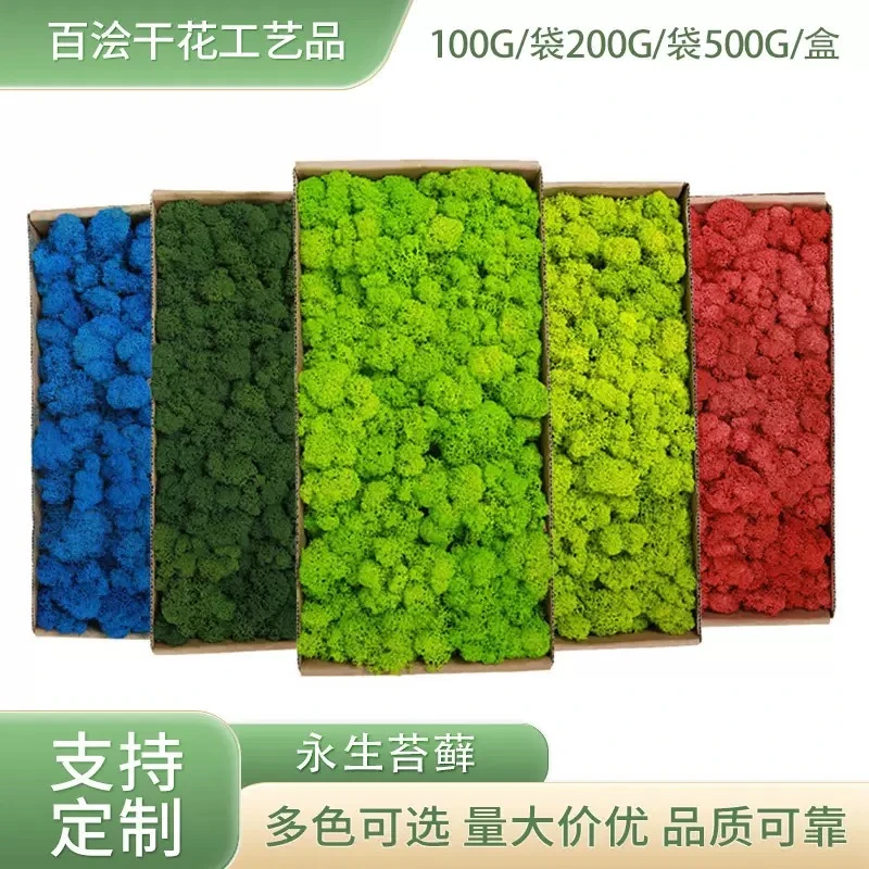永生苔藓植物礼盒青苔花材干花墙面装饰材料包