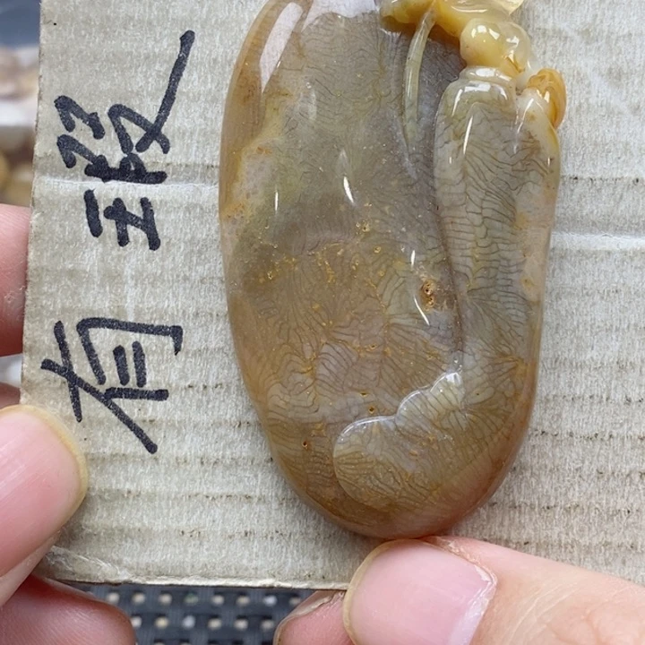 硅化珊瑚（珊瑚玉）颈饰未镶嵌