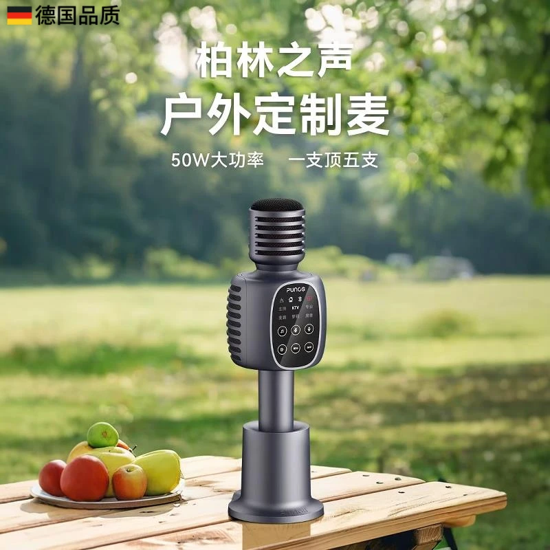 柏林之声话筒蓝牙音响一体无线麦克风户外家庭ktv直播家用K歌声卡