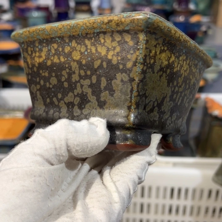 原创原创作品分享