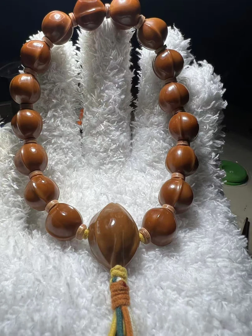 橄榄核鲨鱼背1.4