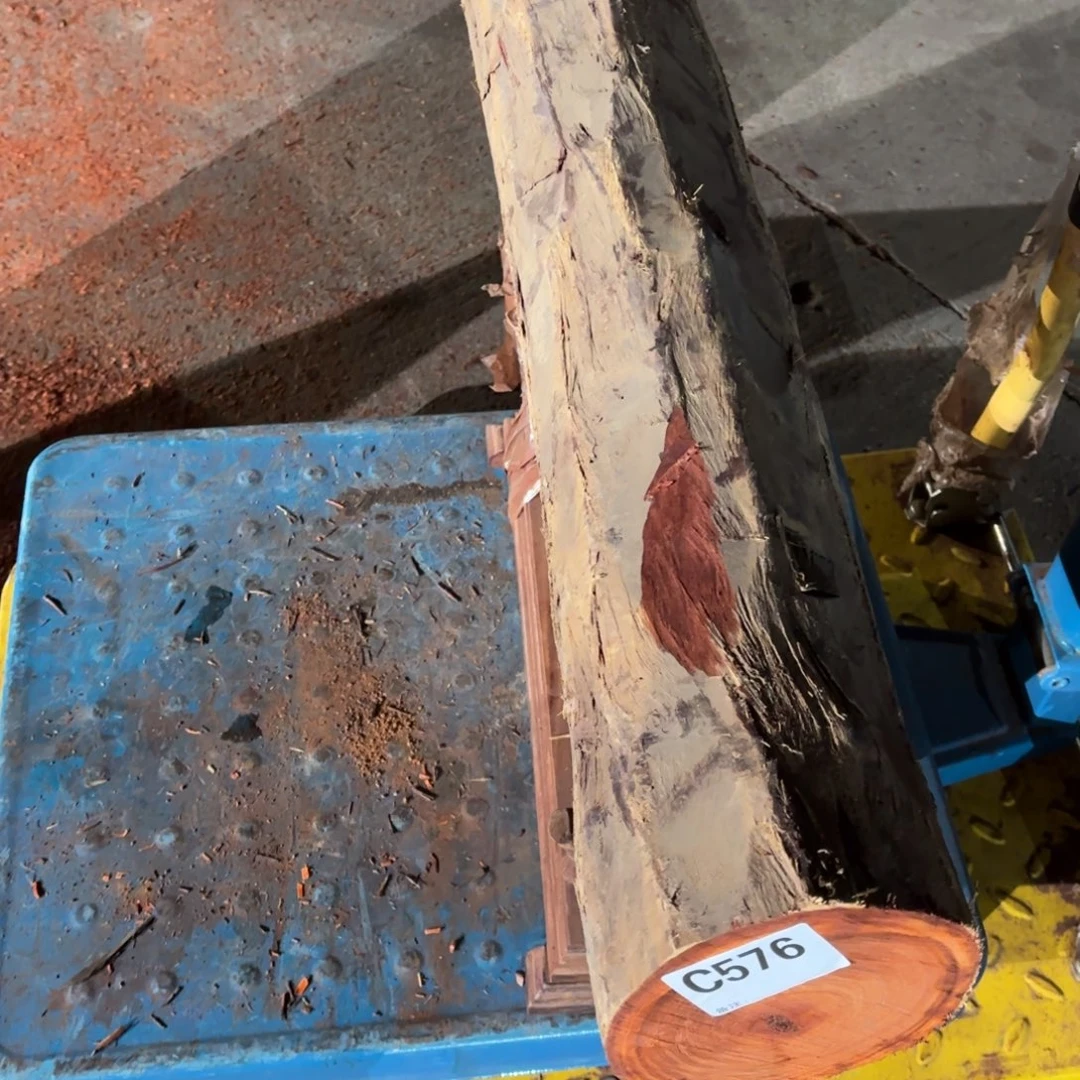 世***。一物一拍血檀编码576