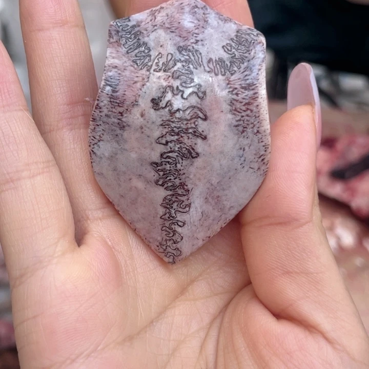 养殖鹿骨三界牌子