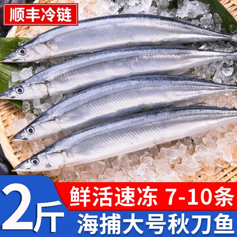 秋刀鱼新鲜鲜活冷冻大号海捕深海鱼日式秋刀鱼烧烤食材香煎秋刀鱼