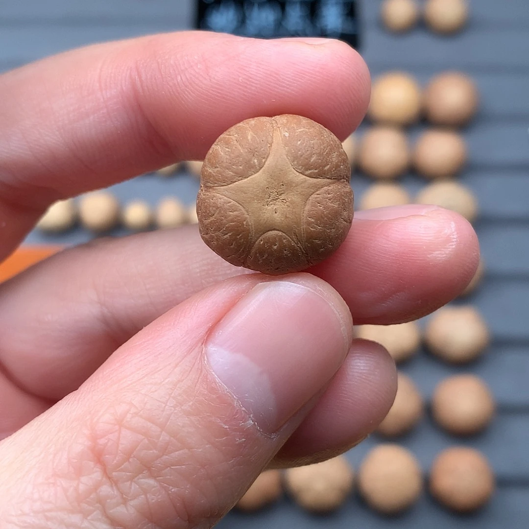 吊坠凤眼菩提18+五星，非质量问题开孔不退