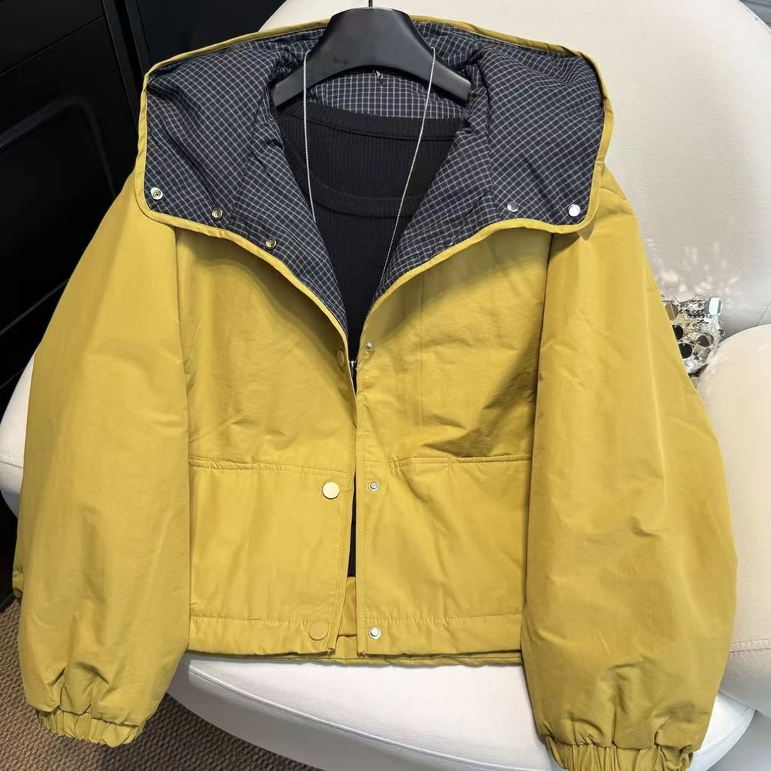 收口袖拼接女常规款连帽棉服棉衣时尚休闲加厚女士