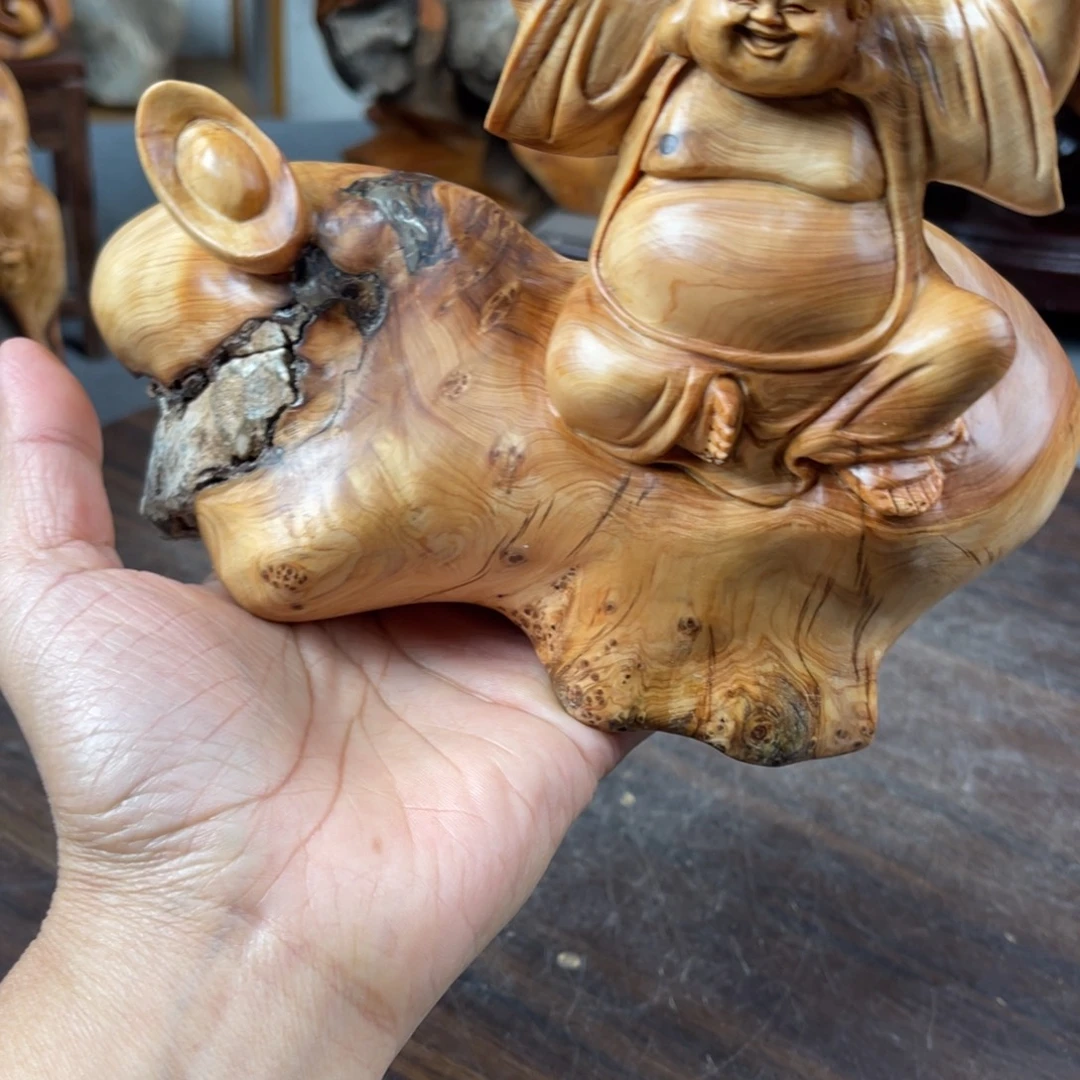 柏木（崖柏）崖柏太行山脉