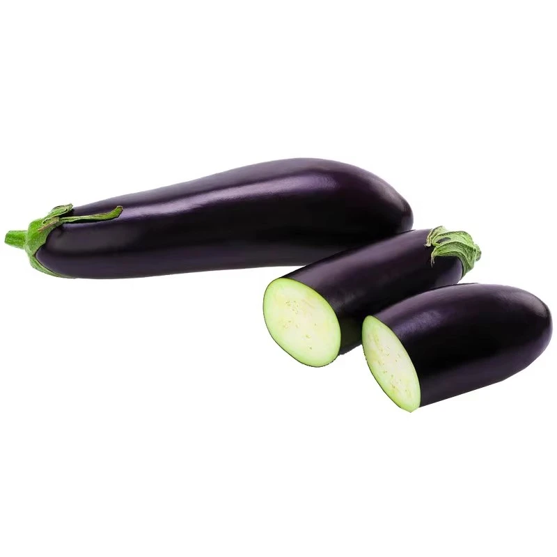 美味烧烤茄种子黑紫色粗茄子种籽春四季盆栽阳台菜园蔬菜种子大全