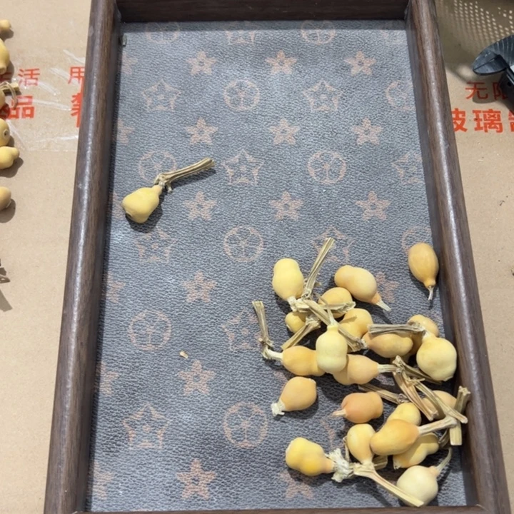 多***¥草里金草里金草里金