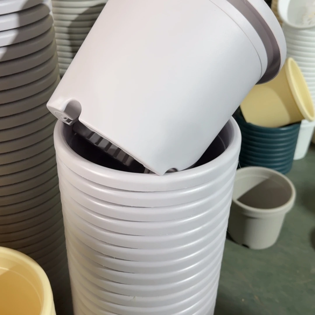 特价4#浅紫8个无拖