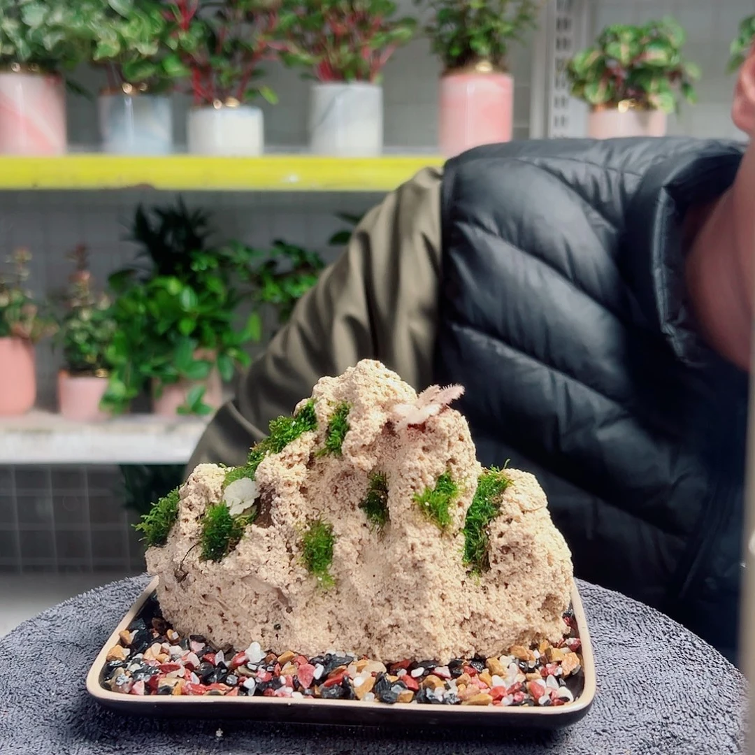 兜***️无花朵22