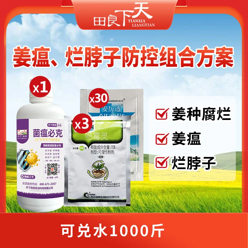 姜瘟烂脖子防控组合方案   菌瘟必克 噁霉灵  展着剂