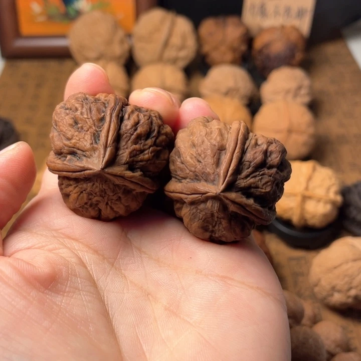 云南野生铁核桃编号53