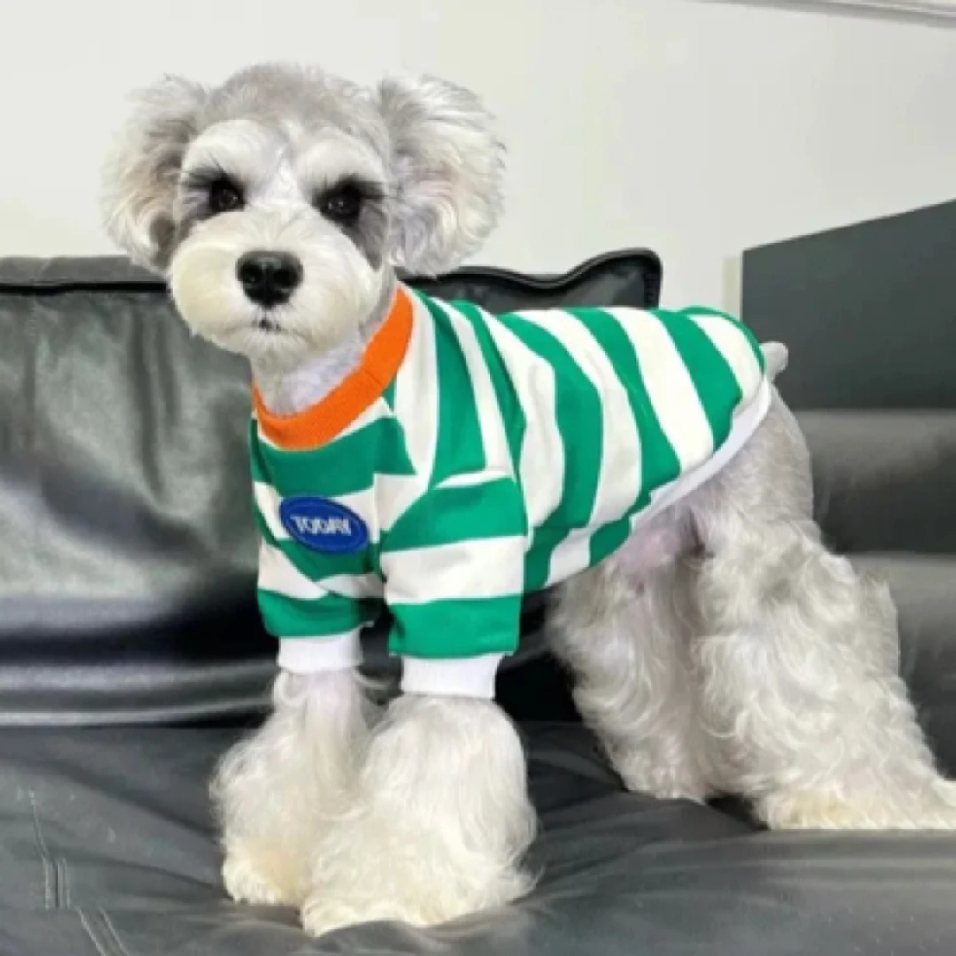 狗狗衣服绿色条纹秋冬