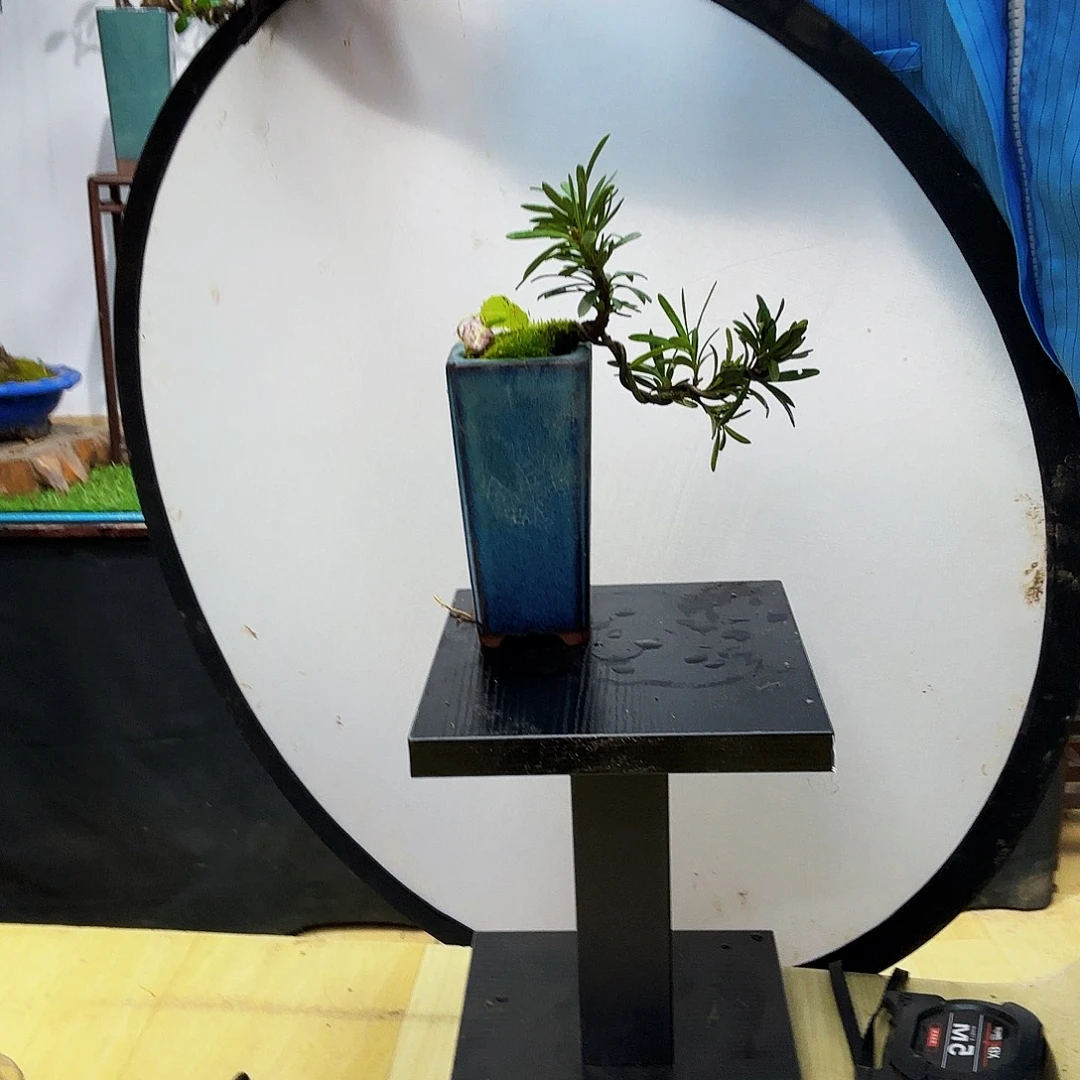 用***6无花朵让他干活哈哈季军吧