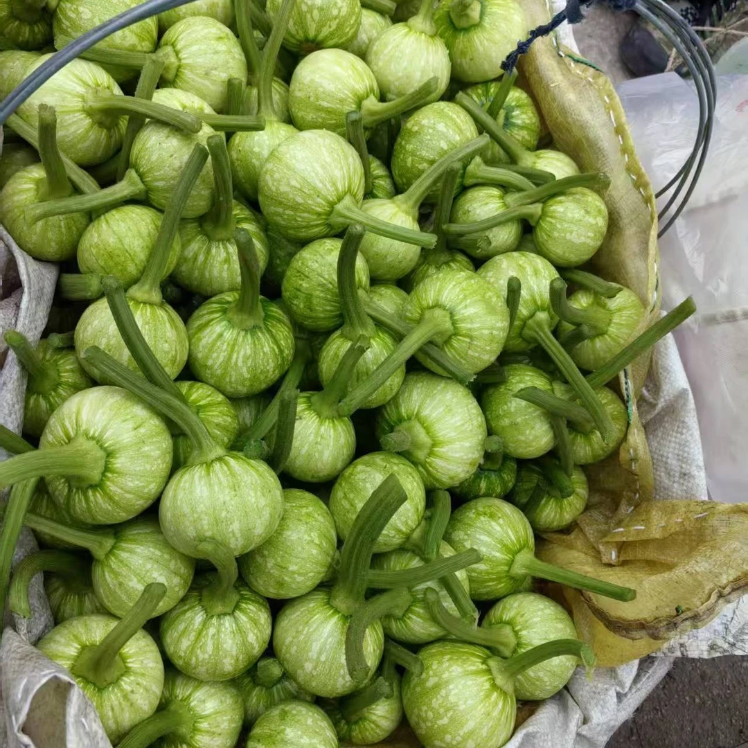 贵州农家现摘绿皮小南瓜脆嫩清甜农家菜农家自己种新鲜顺丰包邮