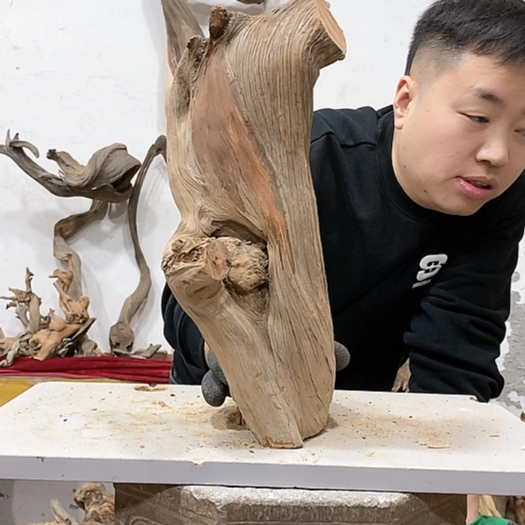 【闪购商品】柏木凭**雨我们都是好孩子