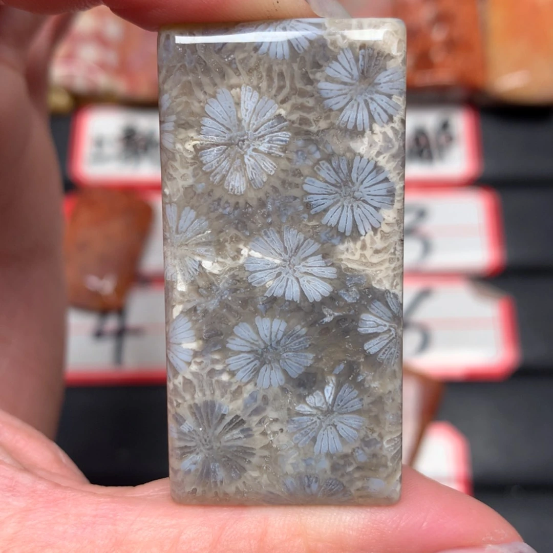 【闪购商品】未镶嵌颈饰硅化玉玄*