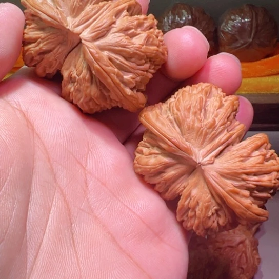 把件文玩核桃精品白狮球连53边