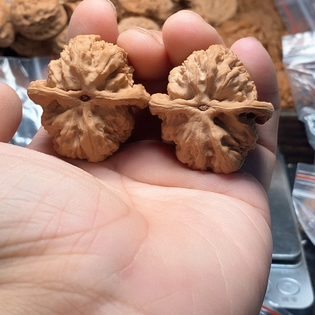 文玩核桃蚂蚁沟38-221