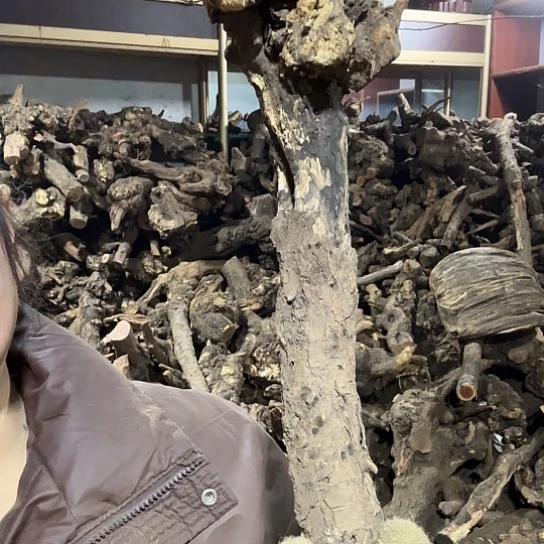 香榧木跳**恼火琉璃的故事毛料摆件