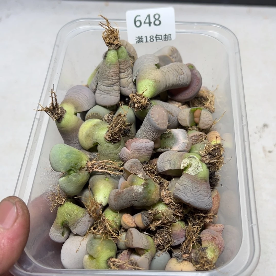 【闪购商品】 648。