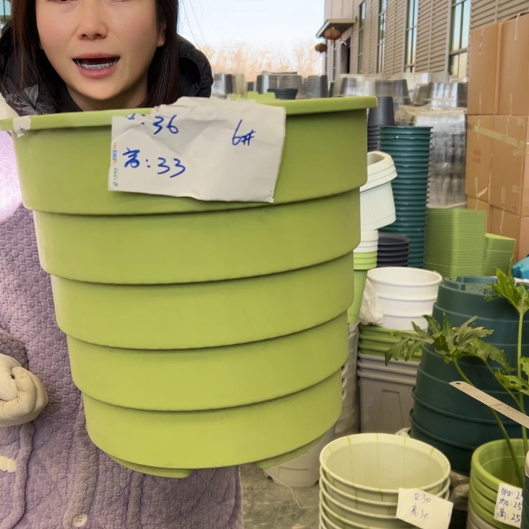 多孔盆6#果绿3个无托