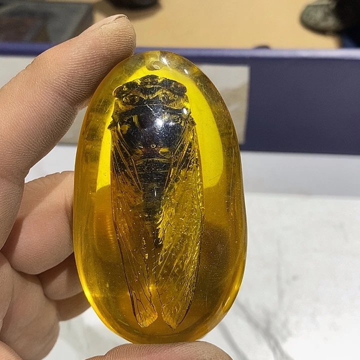 64号茶周边，不明白可以咨询