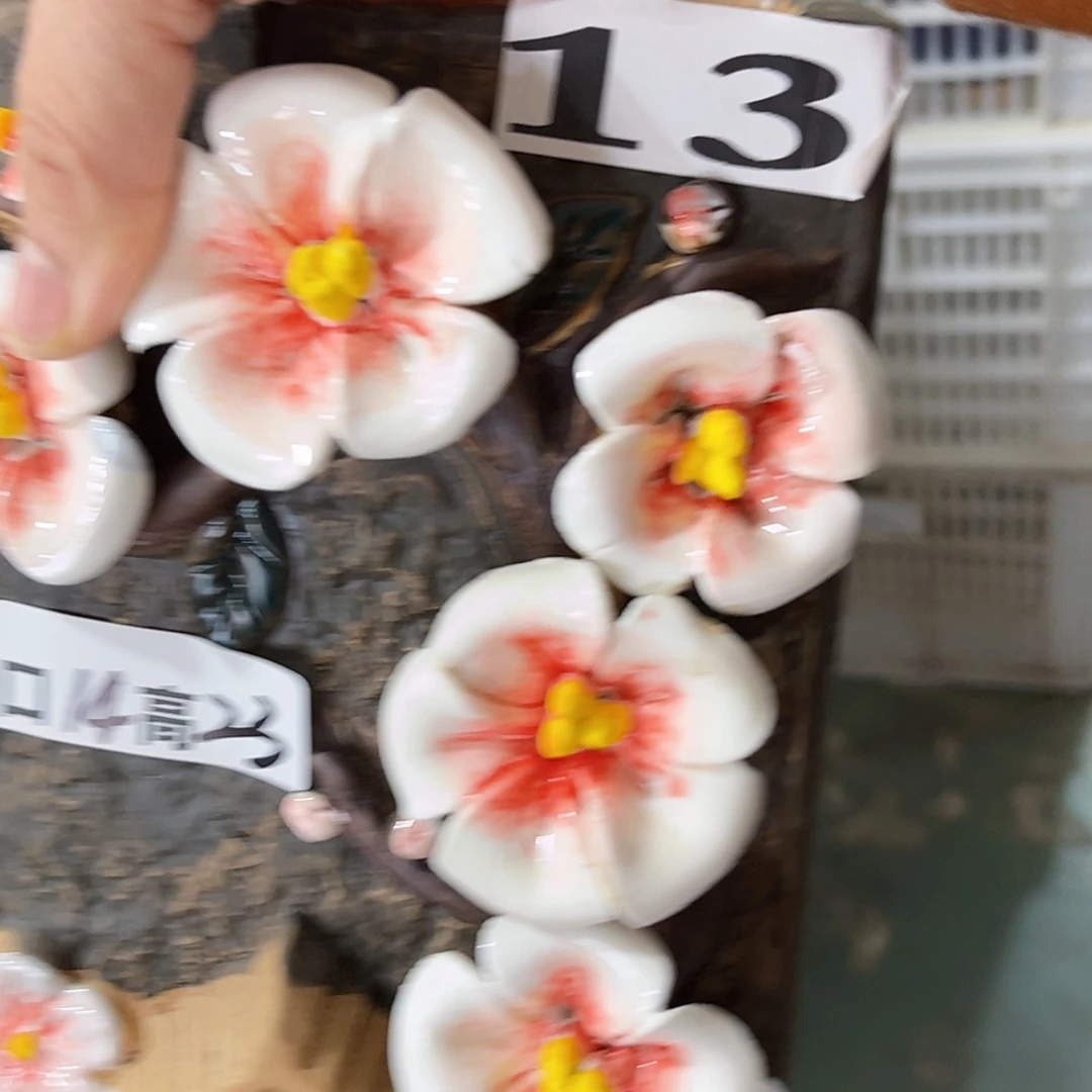 【闪购商品】红陶福利
