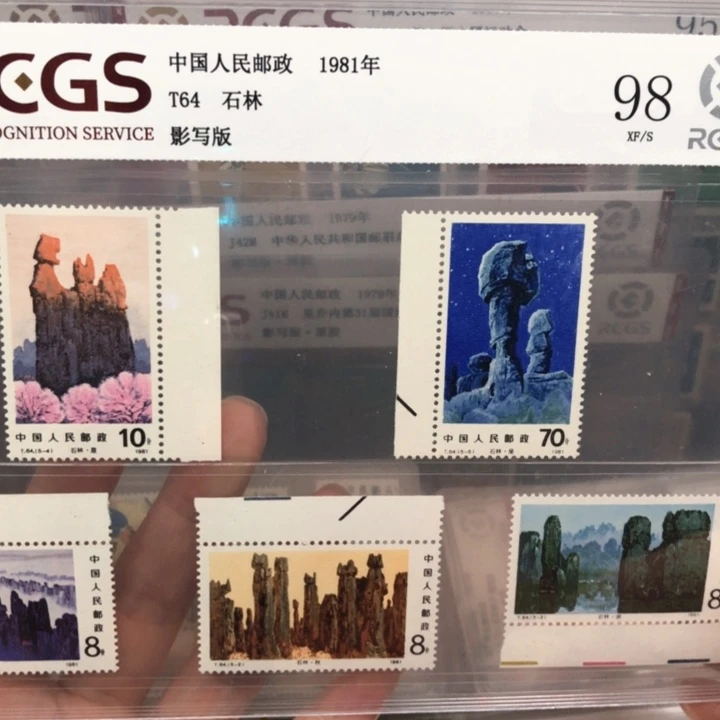 T64石林带边纸邮票98