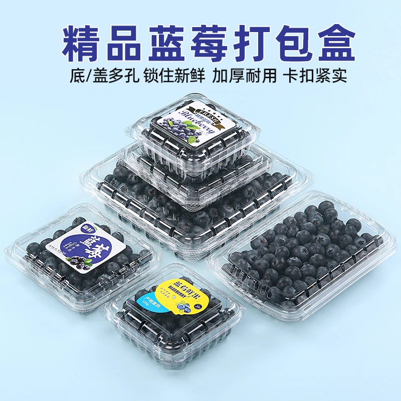蓝莓盒一次性方形树莓包装盒蓝莓塑料盒多容量食品级水果打包盒