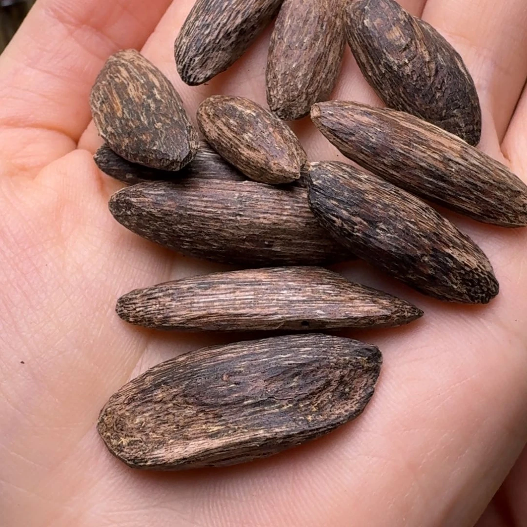 香榧木海南大山瓜子5.2克