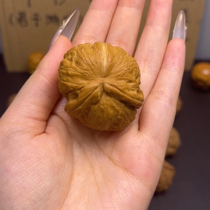 飞***觉菩提籽类元宝单只异型