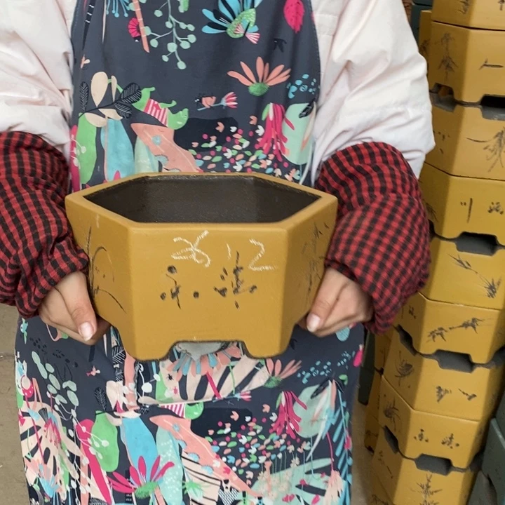 花盆紫砂身体不舒服呢