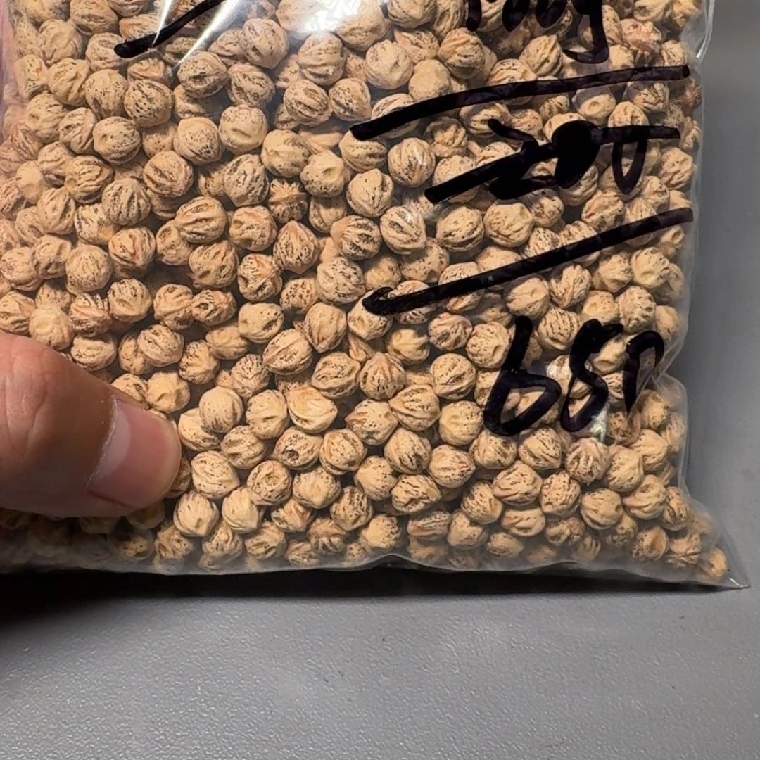 柏香籽/百香籽吊坠星***。