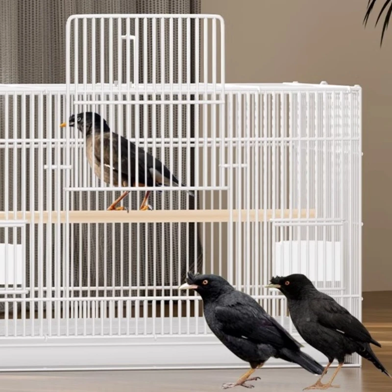 小林黑哥公母专用笼鸟笼鹩歌鸟笼大型配件特大号家养豪华笼子