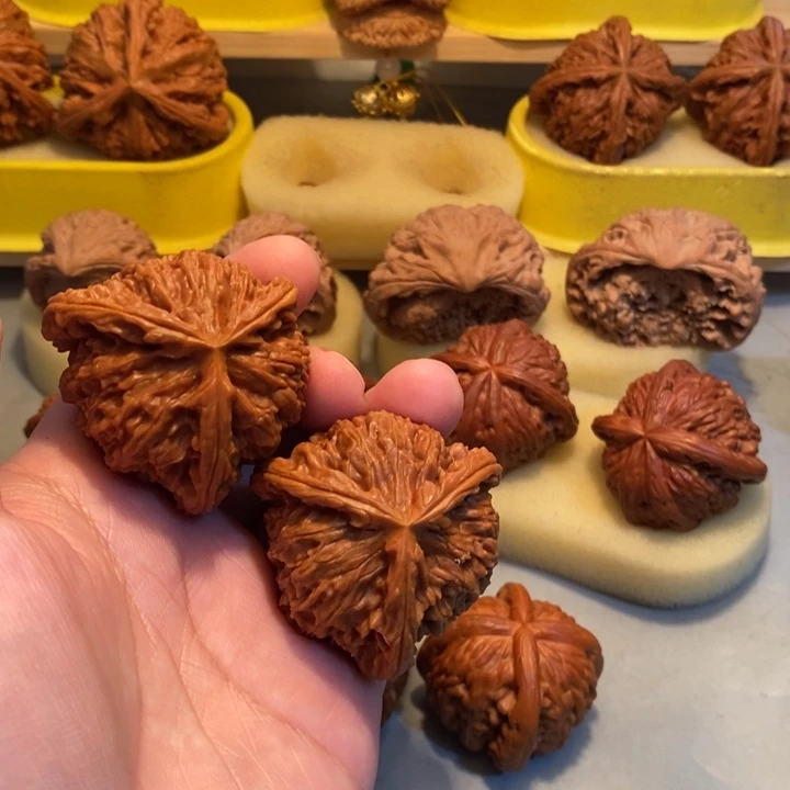 哈***0文玩核桃把件Hhhhhhh