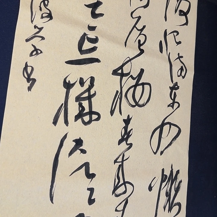 鄱湖书画院书法精品
