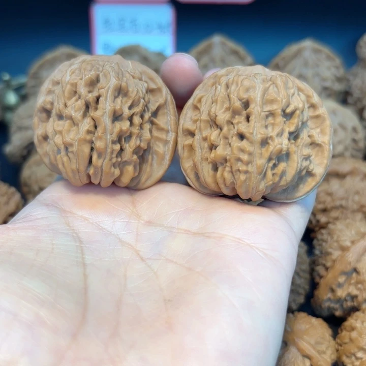 44四座楼全品无修全品