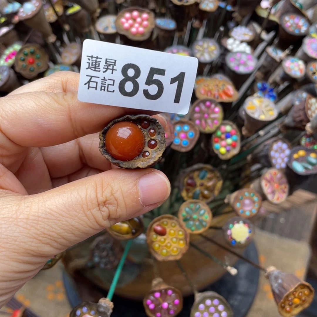 核桃木/黑胡桃（胡桃木）楠****y851