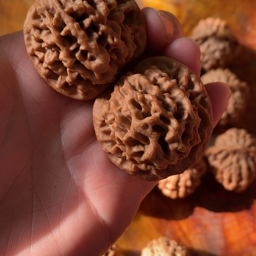 秦岭野生核桃秦闷