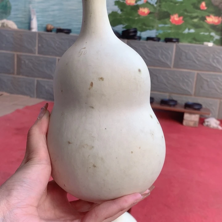 花****中号尺寸的尺寸大小