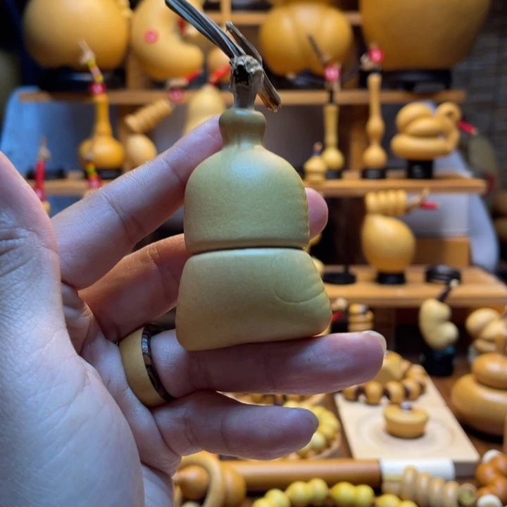 左***.天然葫芦自然生长