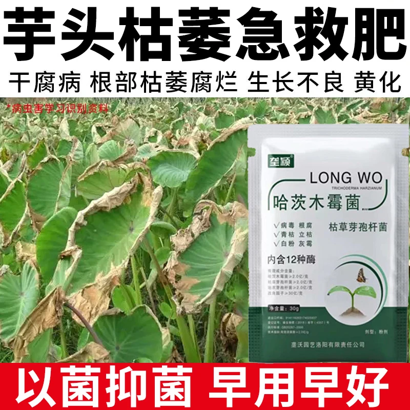 芋头枯萎急救抑菌剂根部枯萎腐烂干腐生长不良黄化枯黄急救水溶肥