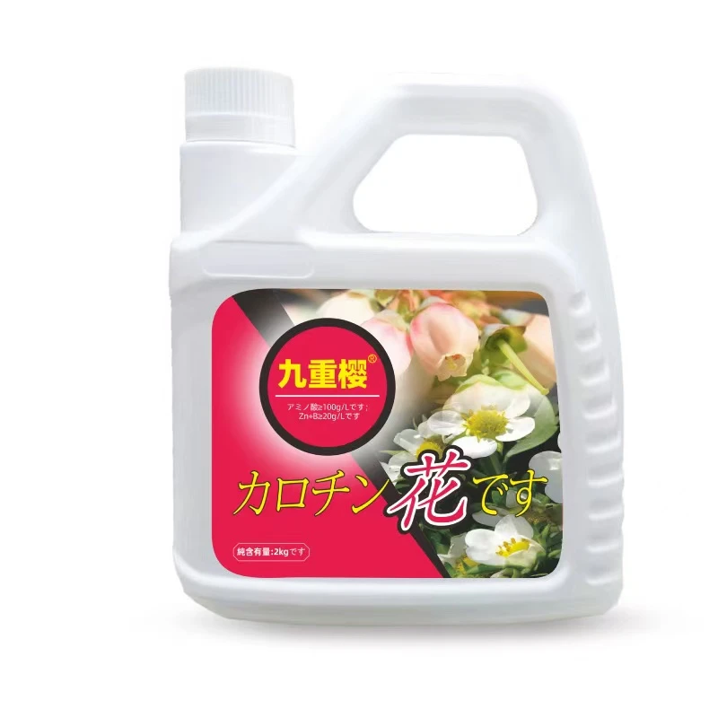 九重樱   花芽素