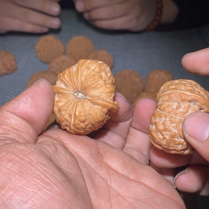 趙***生南瓜顿41。