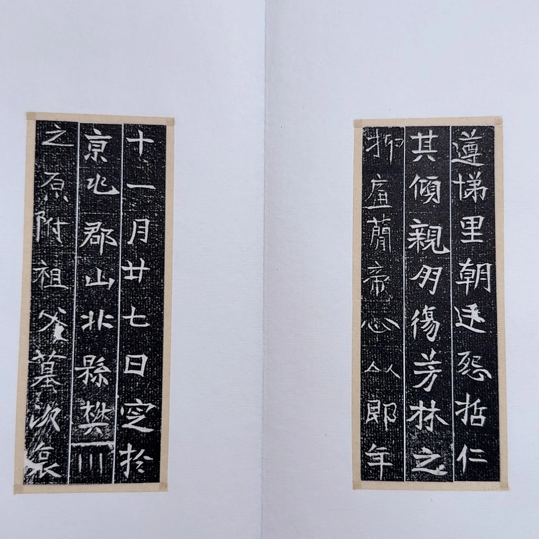 天***勤昌化石印石王遵11112111