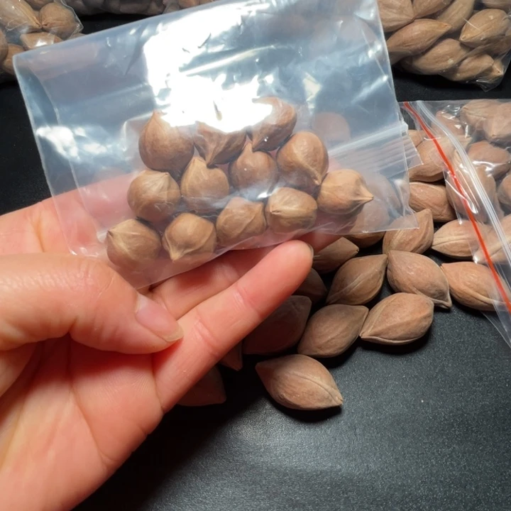 手串/手链猪牙我是