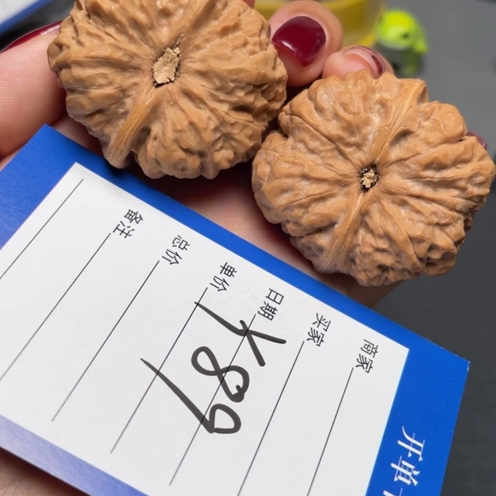核桃嘎嘎肌肉蛙39 42.5 34