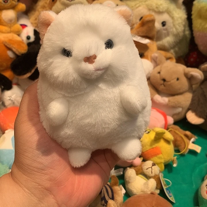 毛绒哈哈哈哈哈哈哈